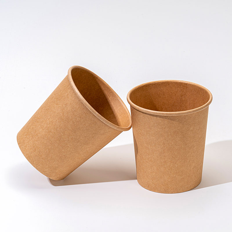 Einwegpapierpapiermaterialtyp