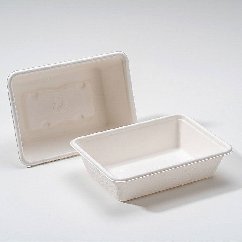Warum ist die quadratische Bagasse-Box die Zukunft nachhaltiger Lebensmittelverpackungen?