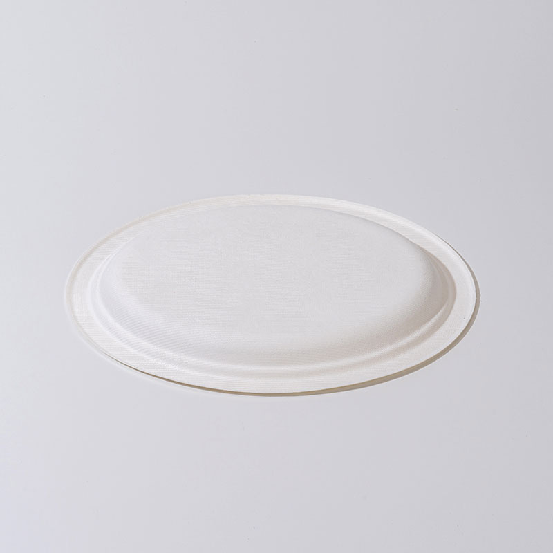 Ovale Platte zu Zuckerrohrzellstoff